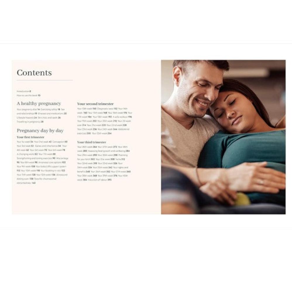 The Day by Day Pregnancy Book