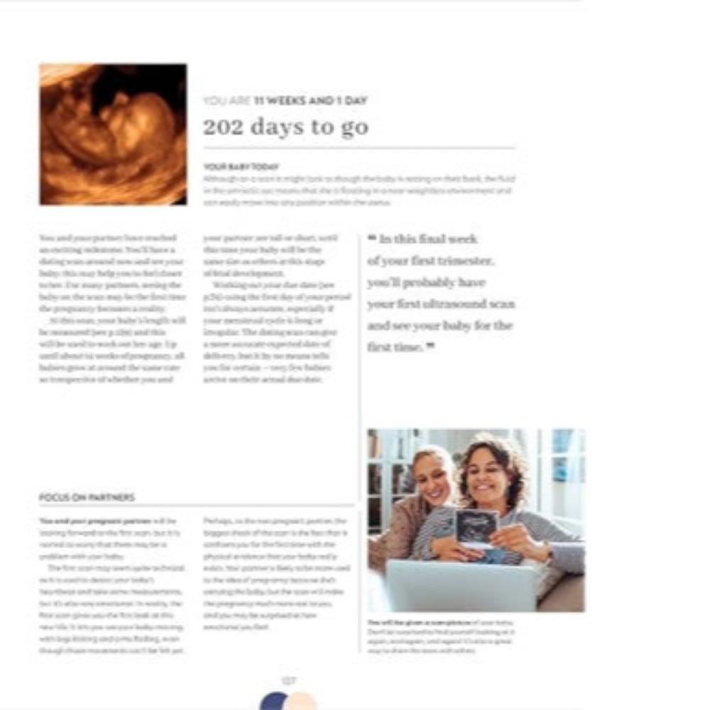 The Day by Day Pregnancy Book