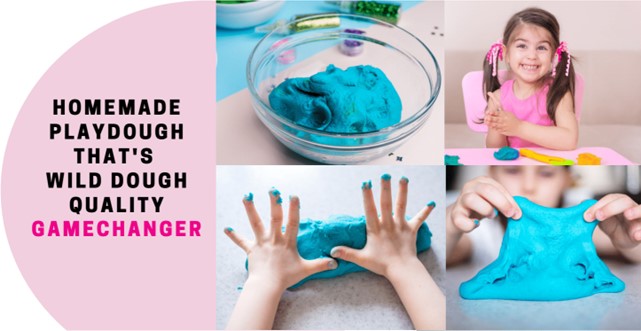 Wild Dough DIY Playdough Mix - 500 gm
