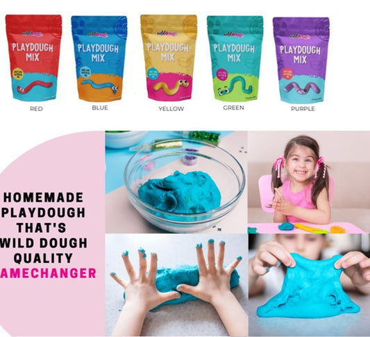 Wild Dough DIY Playdough Mix - 500 gm
