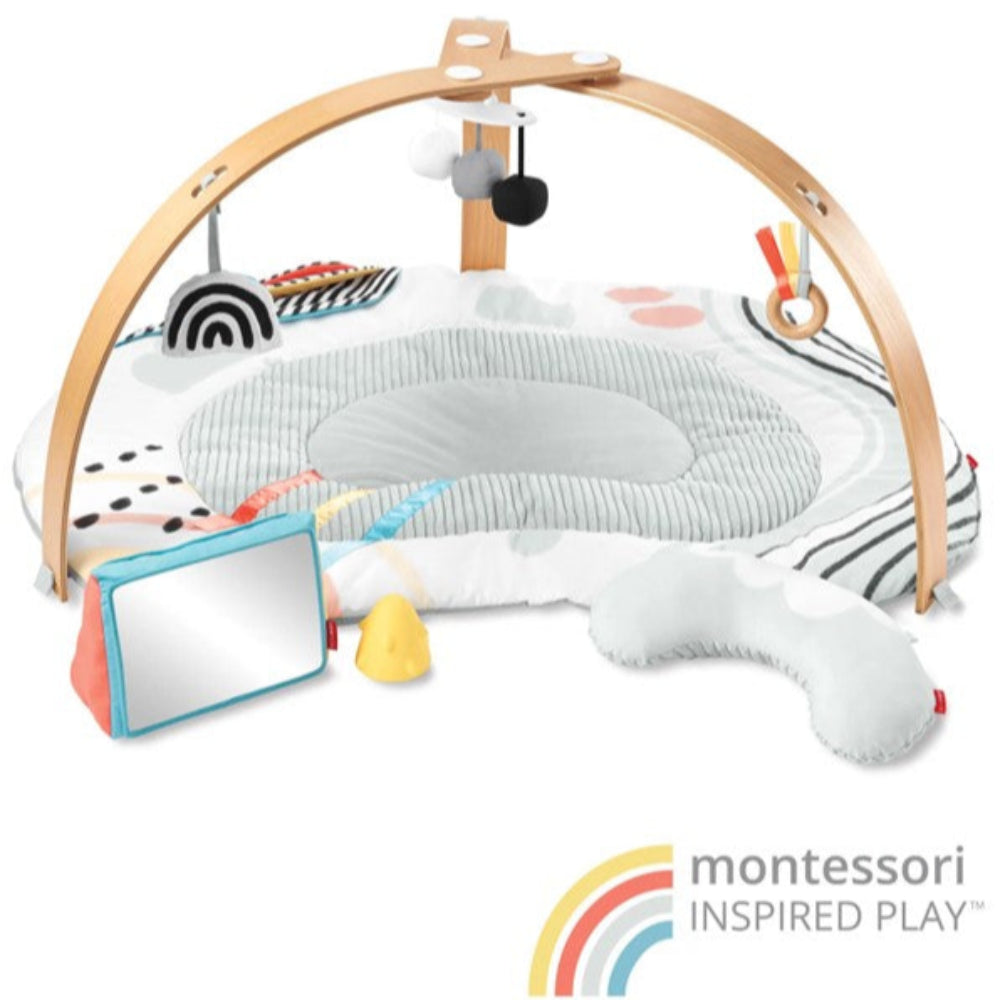 Skip Hop Discoverosity Deluxe Activity Gym