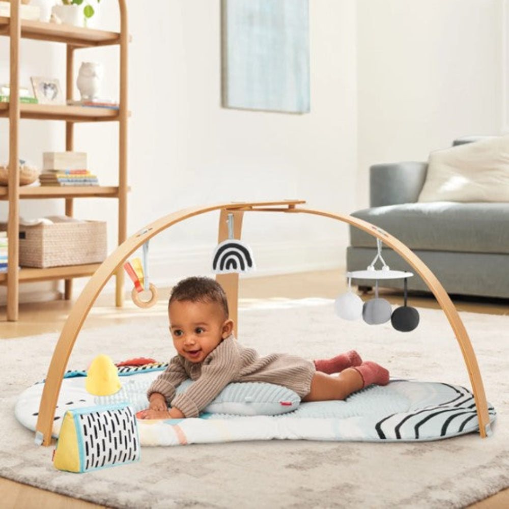 Skip Hop Discoverosity Deluxe Activity Gym