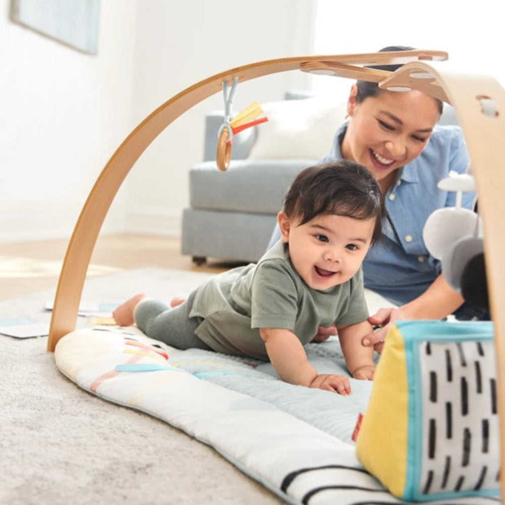 Skip Hop Discoverosity Deluxe Activity Gym