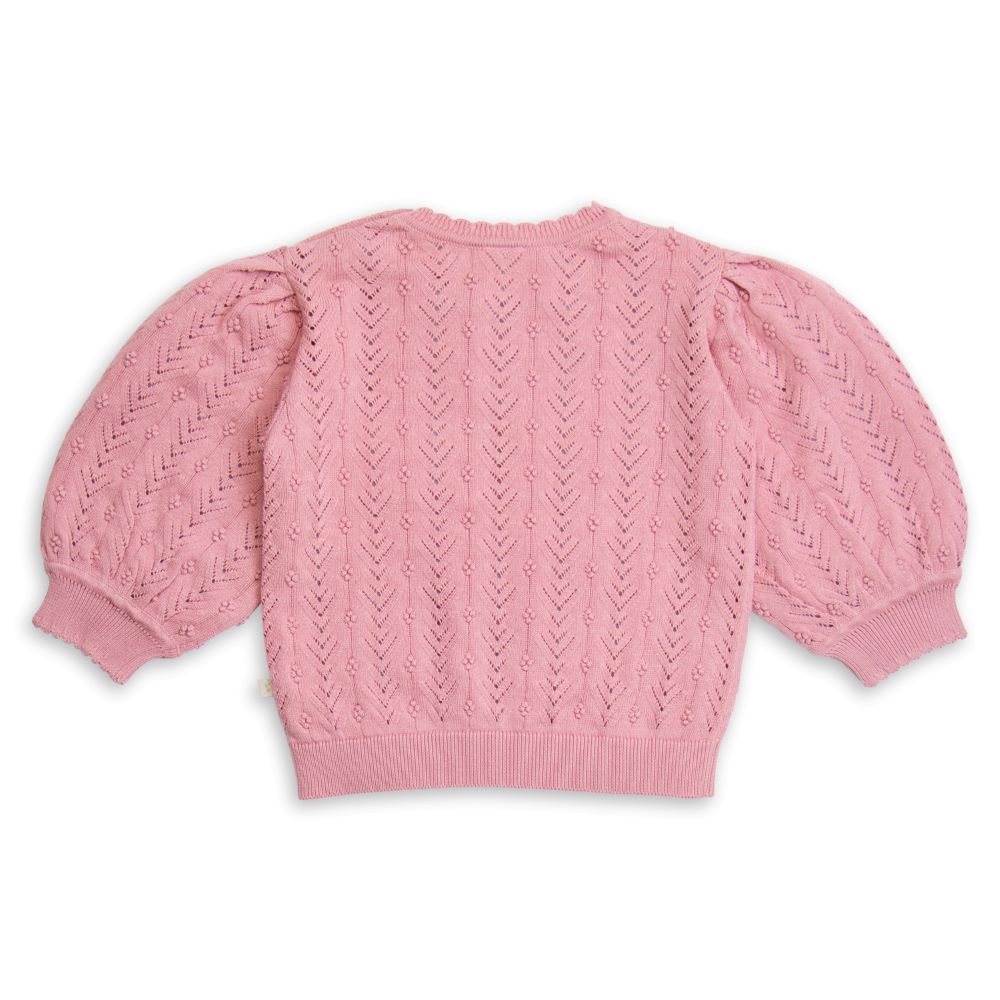 Tiny Twig Berry Knit Sweater - Infants