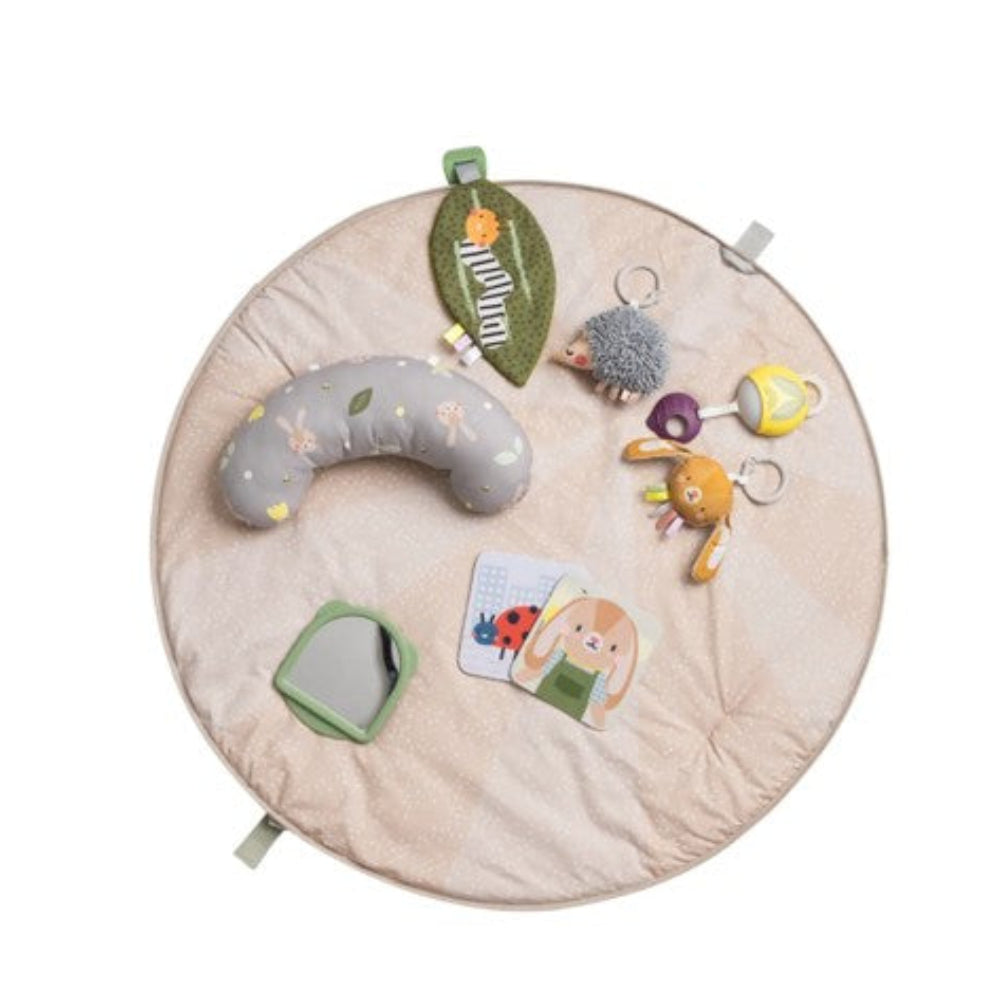 Taf Toys Tummy Time Activity Gym