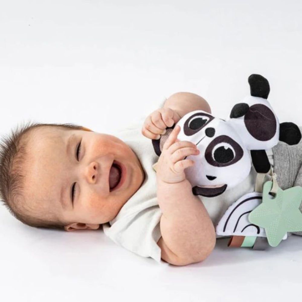 Tiny Love Black and white Decor Panda Rattle