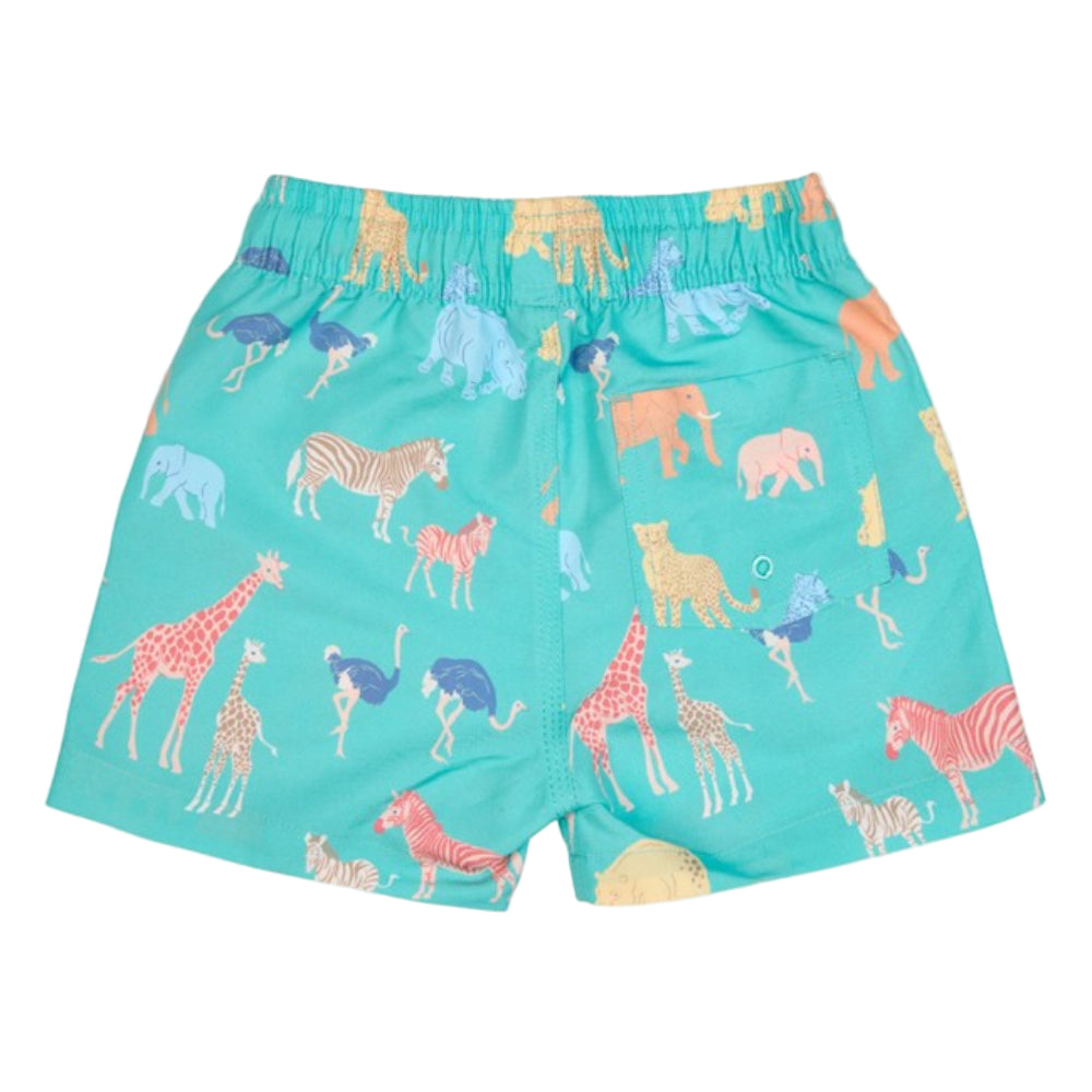 Toshi Swim Boardies Splash - Congo Seagrass