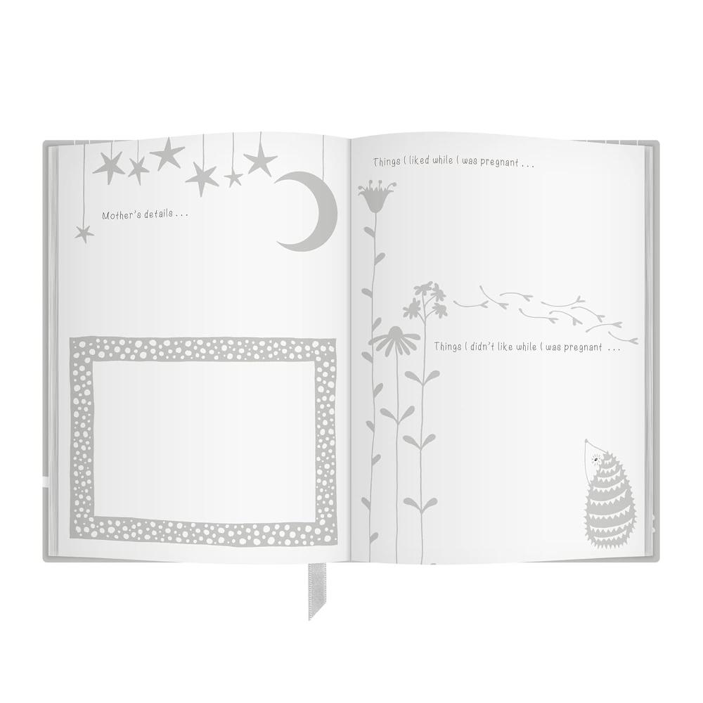 Early Years: Grey: Baby to 5 year record journal