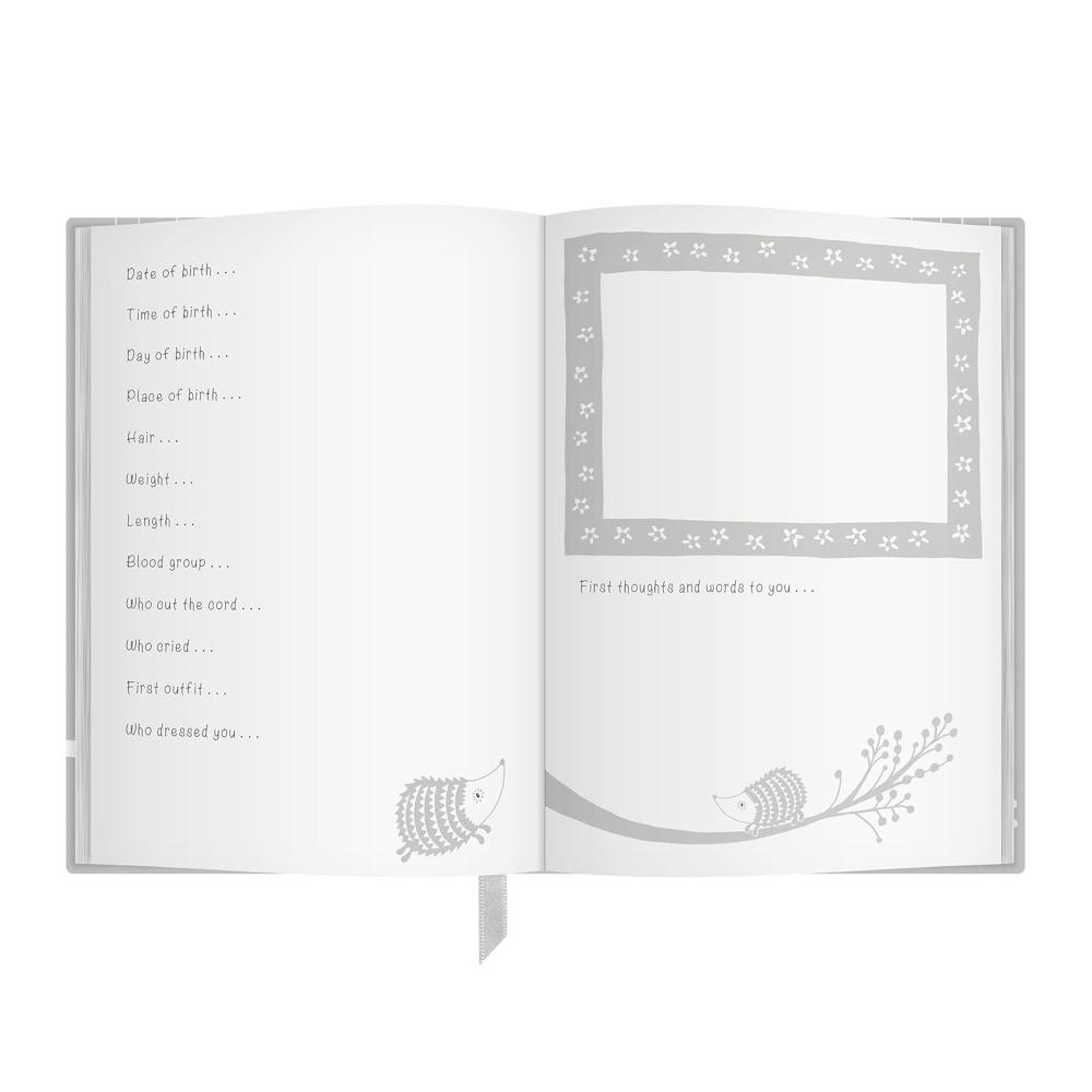 Early Years: Grey: Baby to 5 year record journal