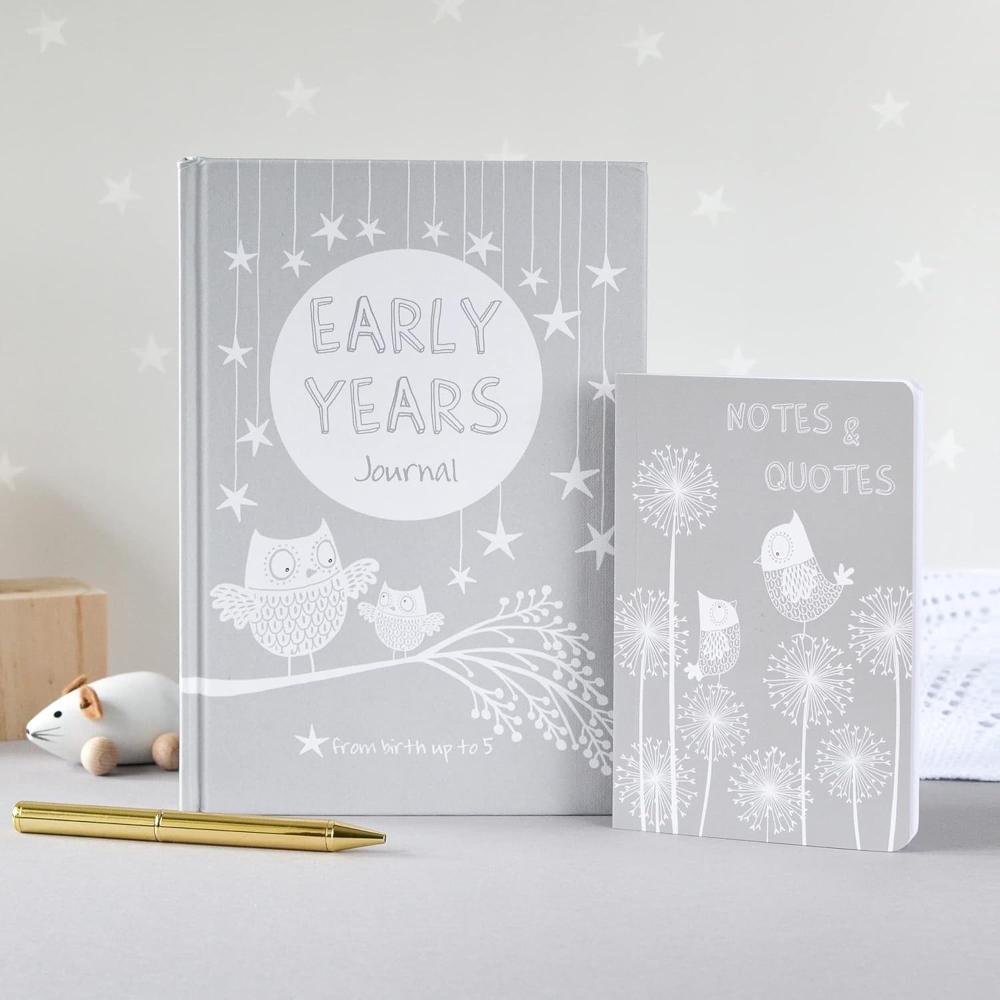 Early Years: Grey: Baby to 5 year record journal