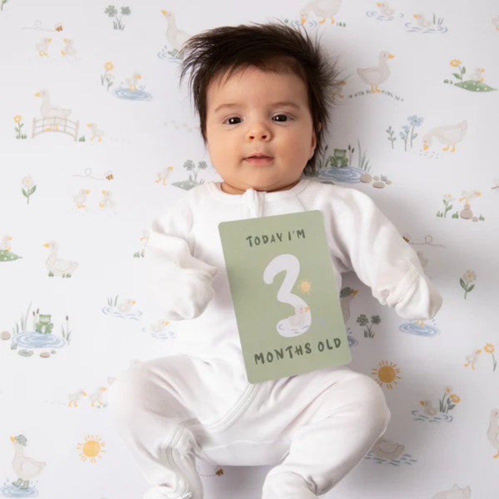 Living Textiles Milestone Cards - Goosey Goosey