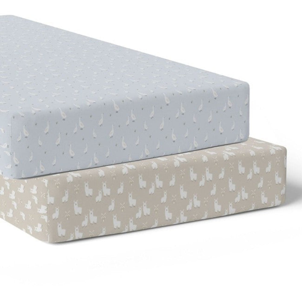 Provincial 2pk Jersey Cot Fitted Sheets - Sky/Almond