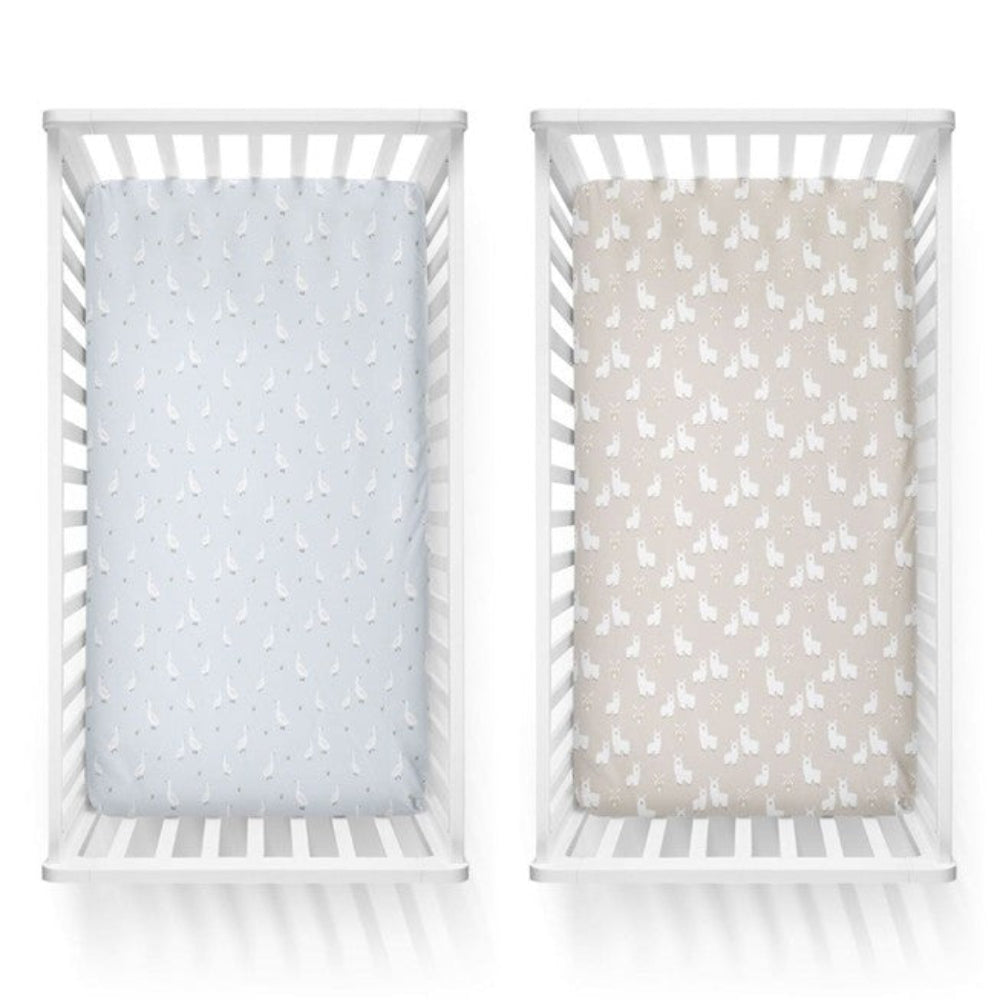 Provincial 2pk Jersey Cot Fitted Sheets - Sky/Almond