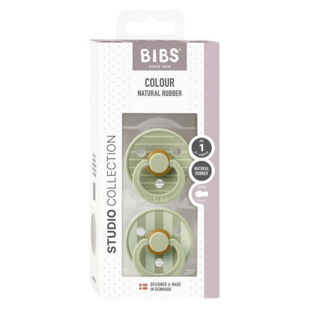 Bibs Soothers 2 pk Studio Colour - Pin Sage Mix