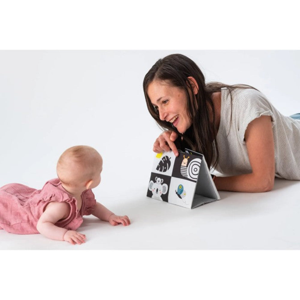 Taf toys Tummy Time Mirror Book
