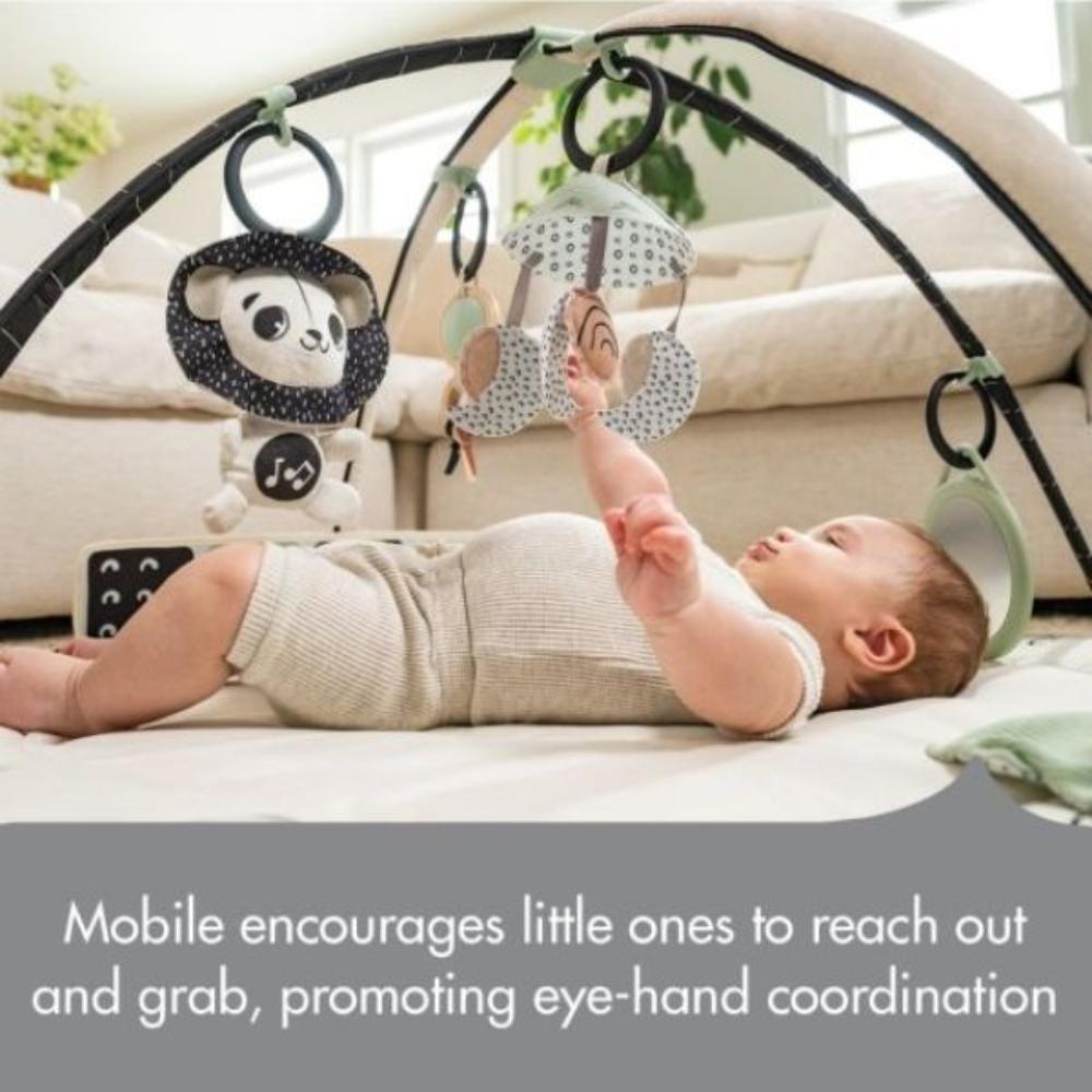 Tiny Love Black and White Decor Gymini