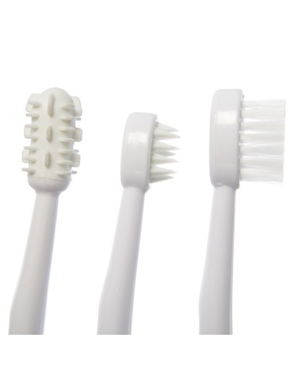 Dreambaby F324 Toothbrush Set 3 Stage Pink