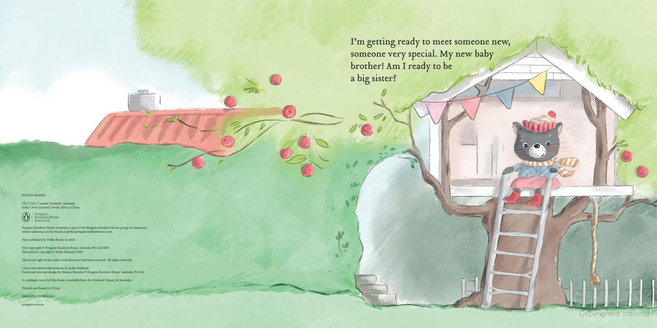 I'm Ready for the New Baby Board Book