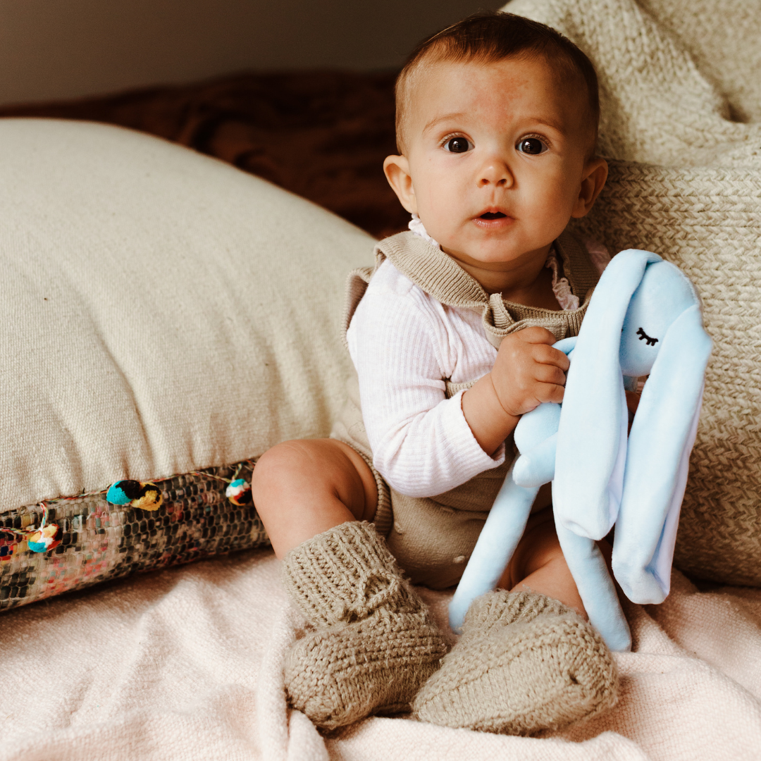 Jellystone Cuddle Bunny - Soft Blue