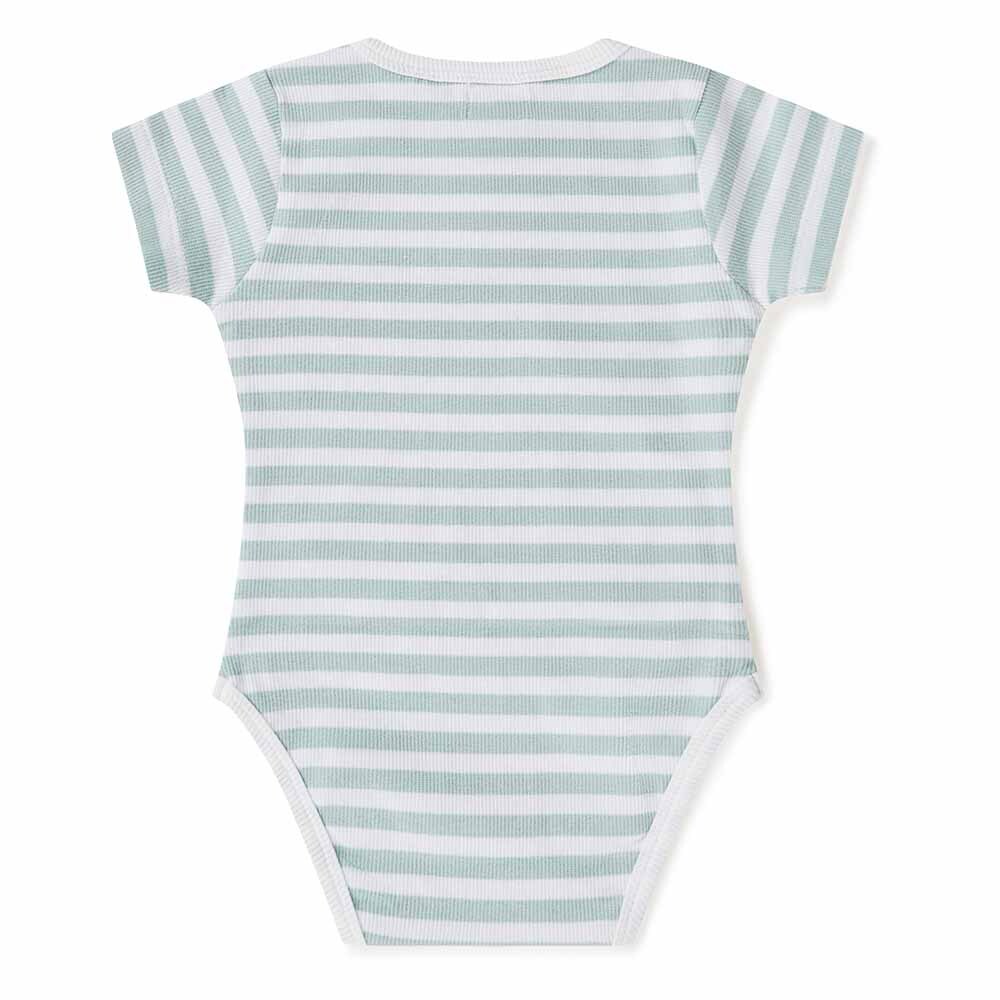 Snuggle Hunny Kids Sage Stripe Short Sleeve Organic Bodysuit