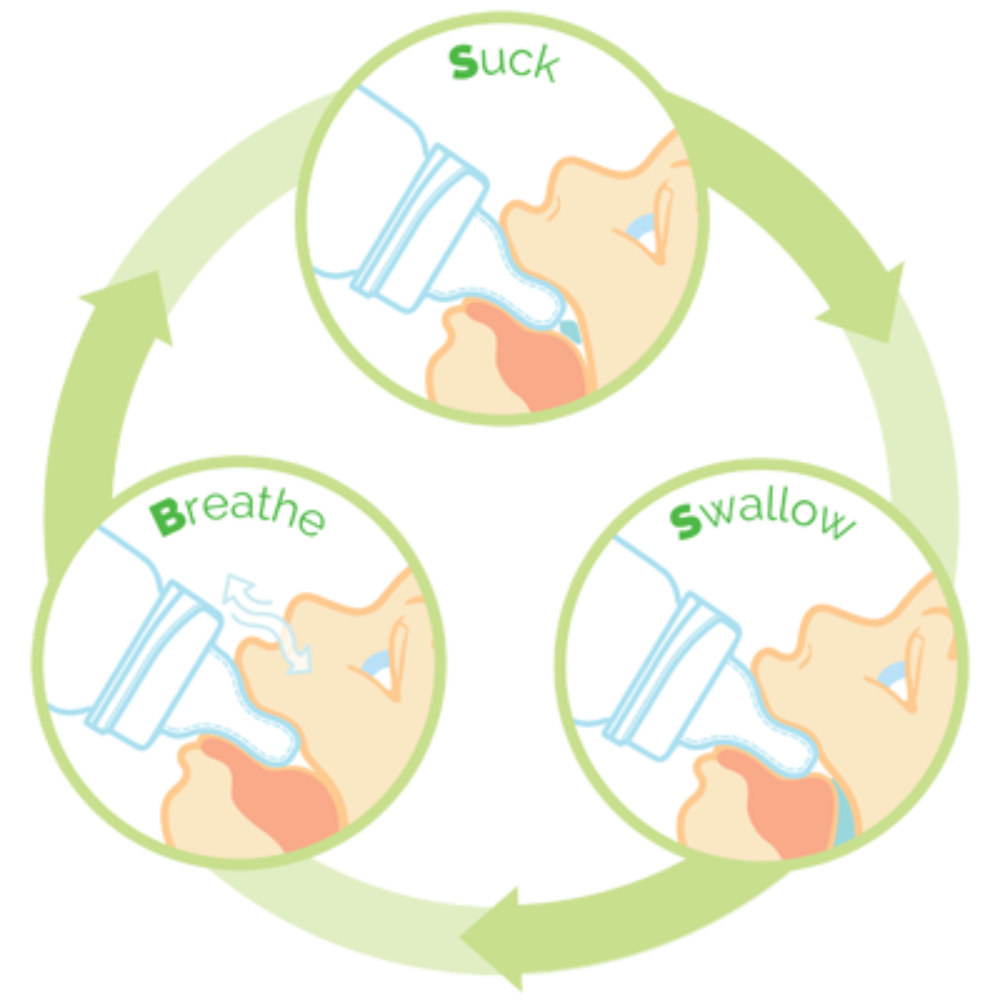 Sepal 3 pk Thickened Feed Teats - Medium Teat/Fast Flow