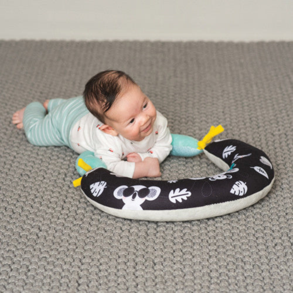 Taf Toys 2 in 2 Tummy Time Pillow