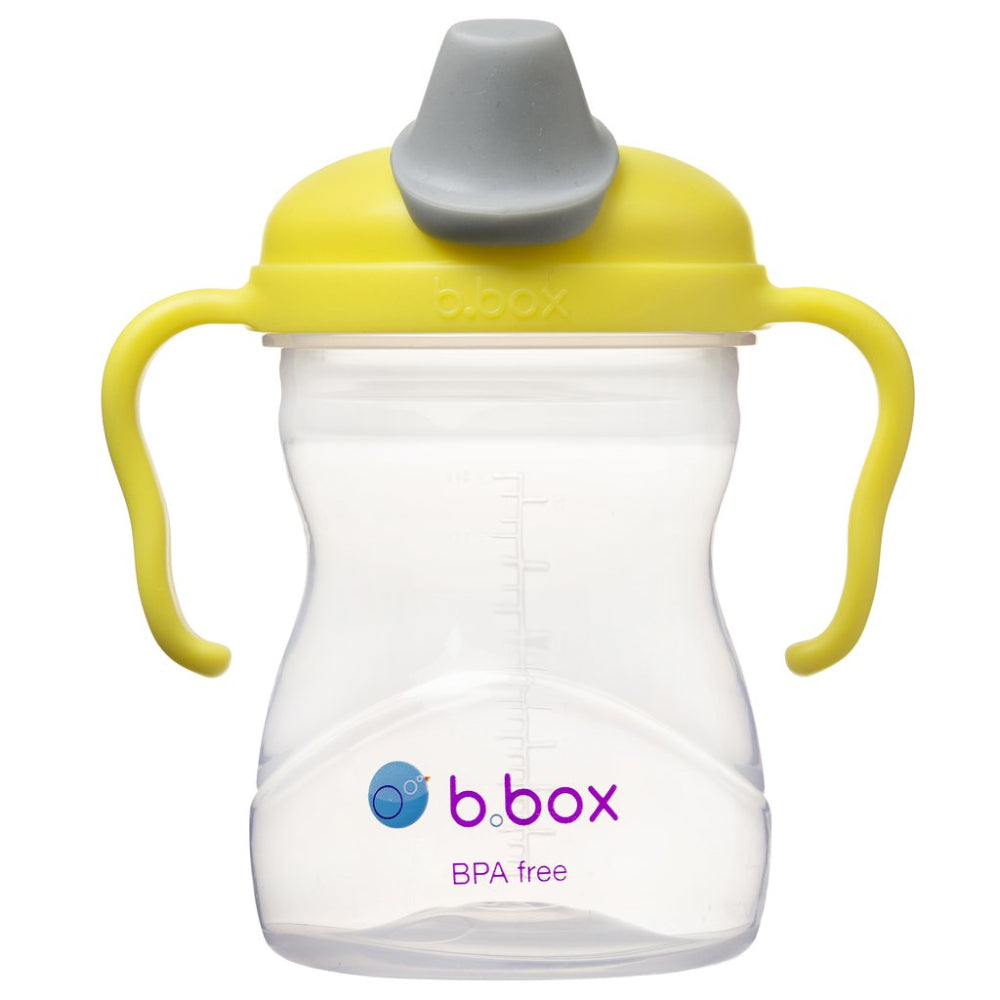 B.Box Spout Cup