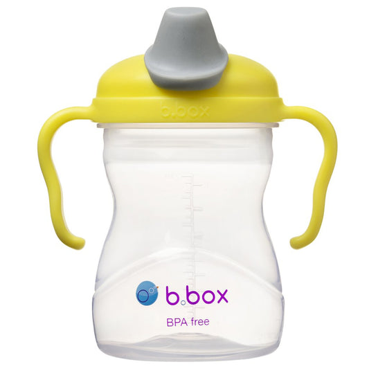 B.Box Spout Cup