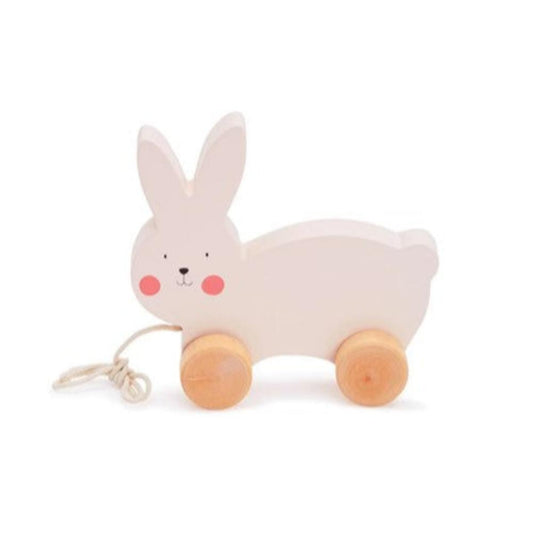 Bubble Wooden Rabbit Pull Along