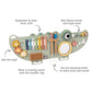 Tooky Toys Crocodile Wall Activity Toy