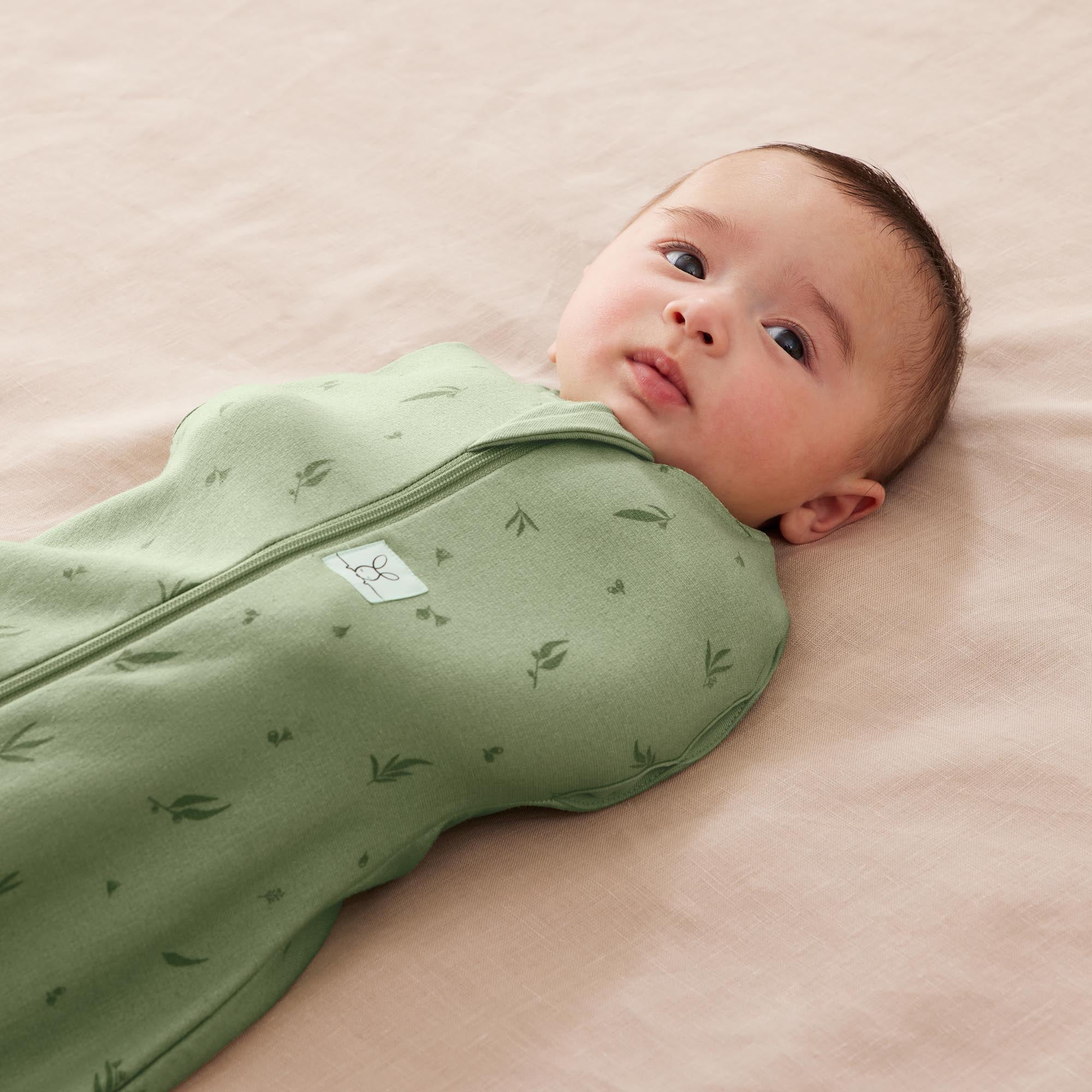 Ergopouch cocoon swaddle discount bag 1.0 tog