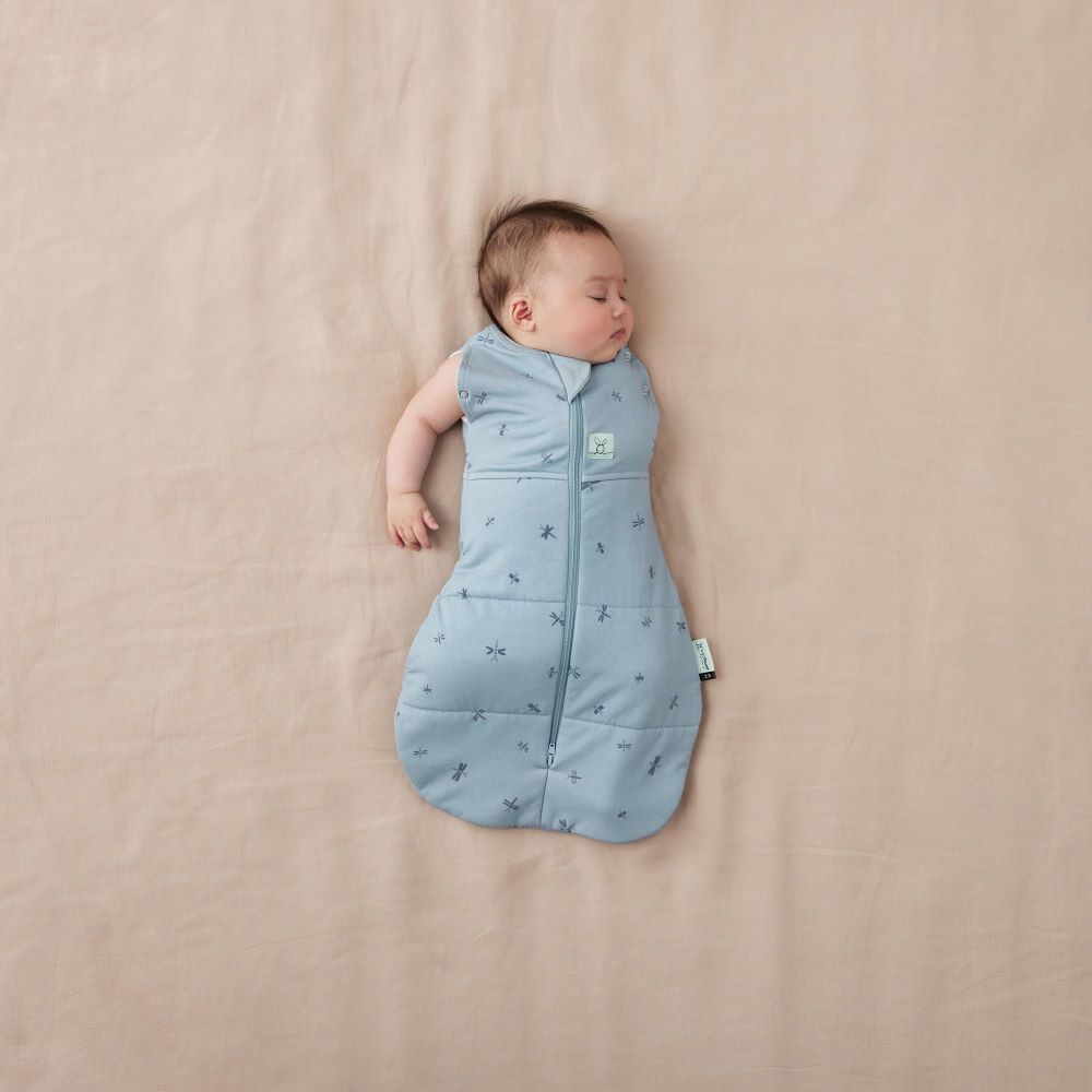 ErgoPouch Cocoon Swaddle Bag 2.5 Tog Dragonflies