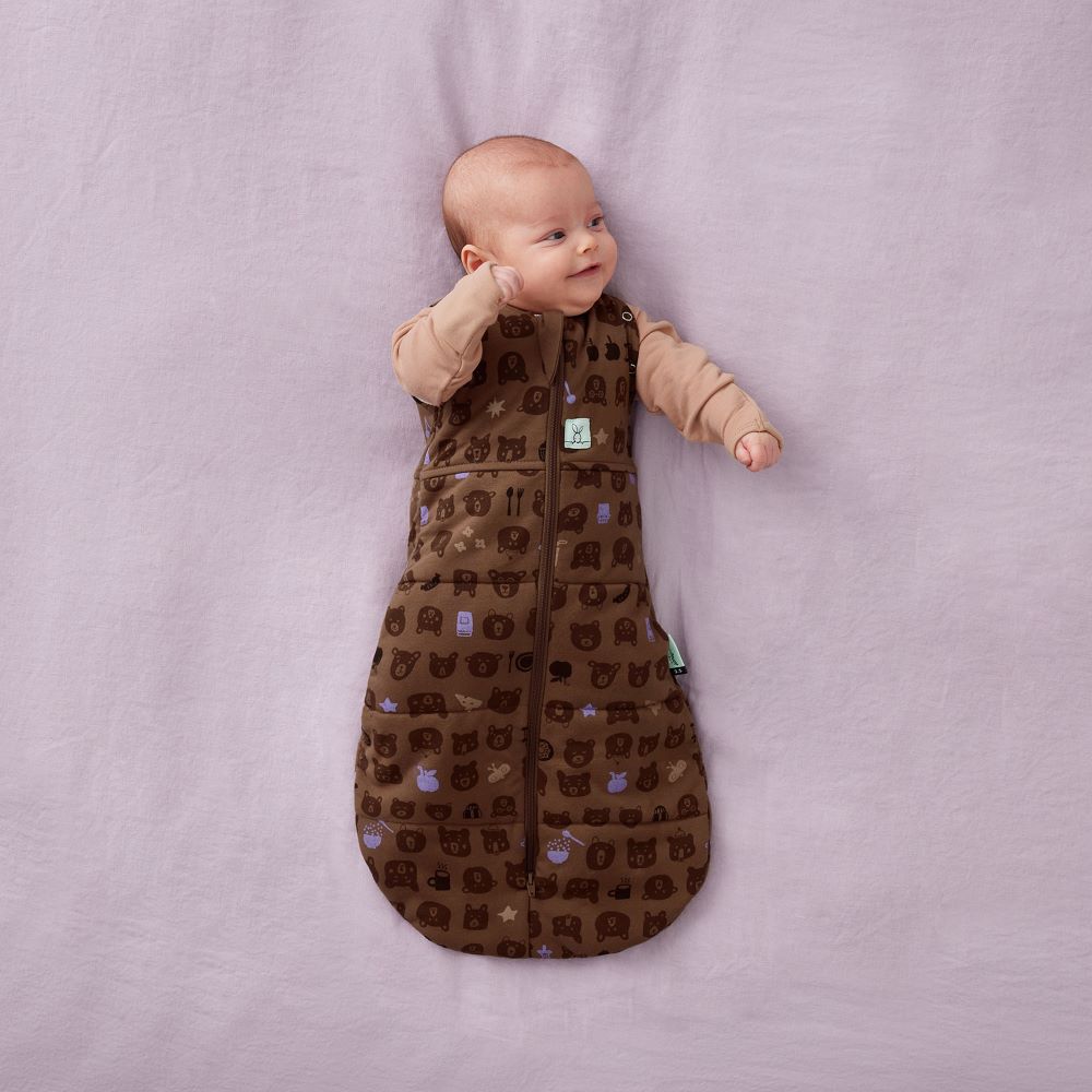 ErgoPouch Cocoon Swaddle Bag 2.5 Tog Picnic