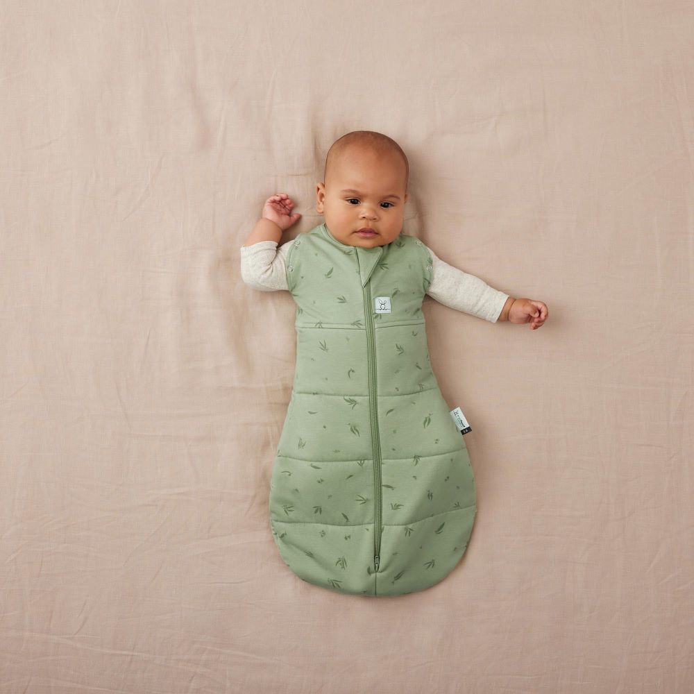 ErgoPouch Cocoon Swaddle Bag 2.5 Tog Willow