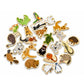 Koala Dream Fridge Friends - Magnetic Australian Animals - 25 pce