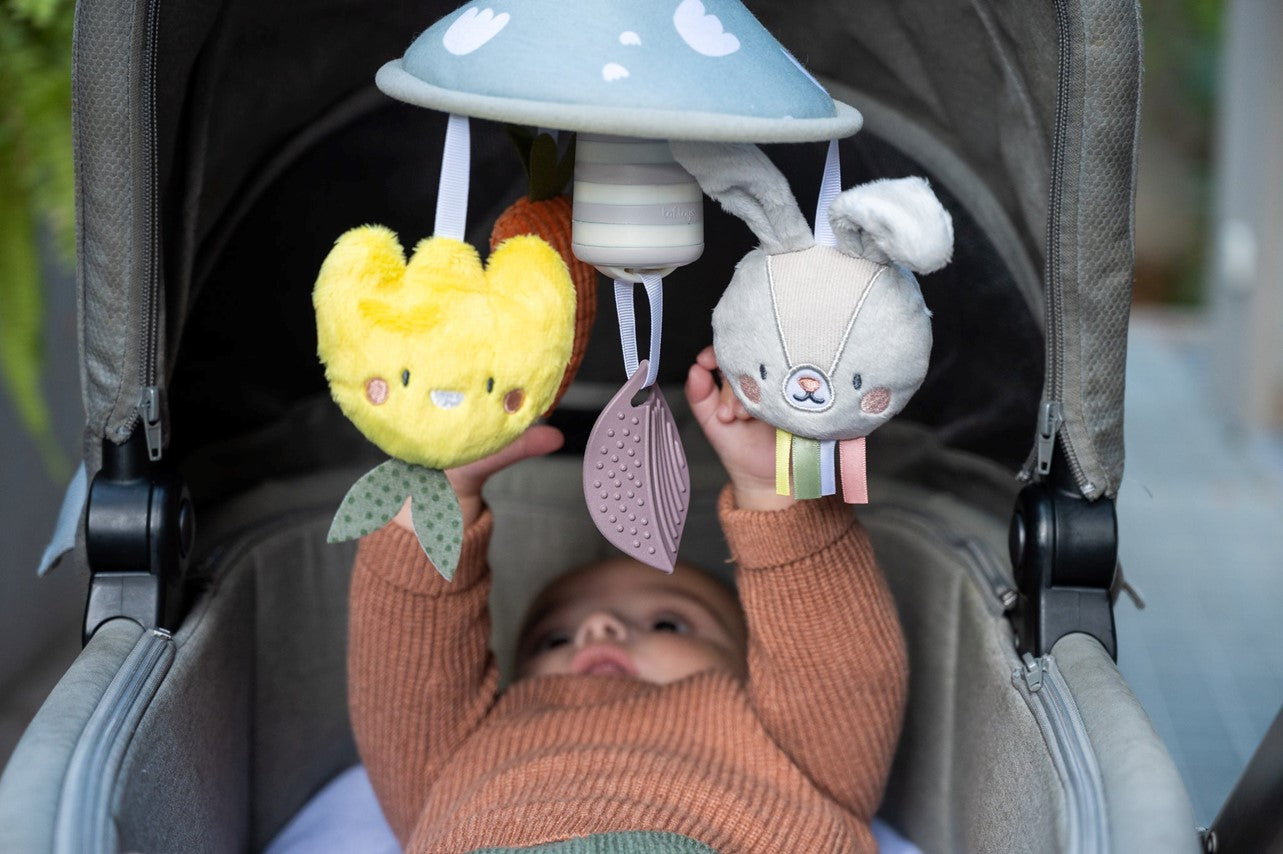 Taf Toys Garden Pram Mobile