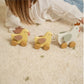 Little Dutch Little Farm Wooden Pull Along Chickens