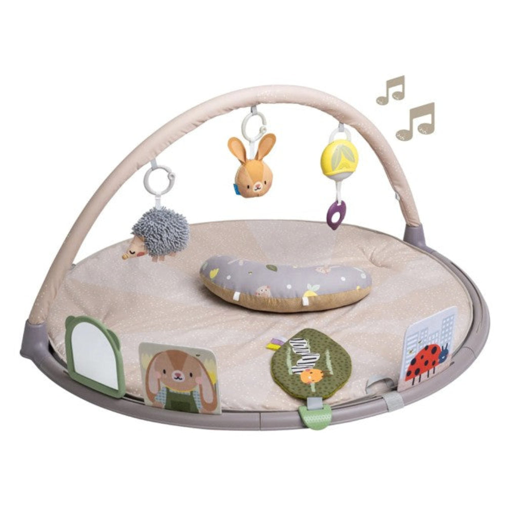 Taf Toys Tummy Time Activity Gym