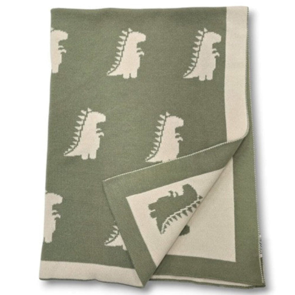 Thread the Word Dinosaur Knitted Bassinet Blanket - Sage-Eggshell