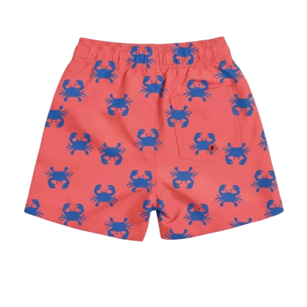 Toshi Swim Boardies Pirate - Mud Crabs