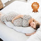 Baby Studio Body Pillow - Gingham Beige