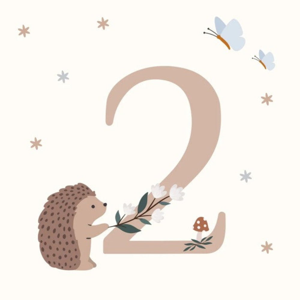 Petite Vous Greeting Card - Happy Birthday Hedgehog 2