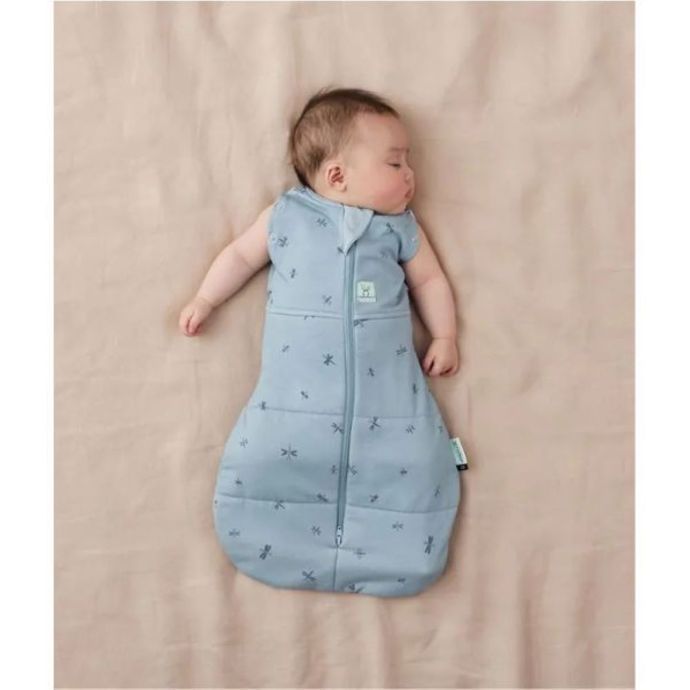 ErgoPouch Cocoon Swaddle Bag 3.5 Tog - Dragonflies