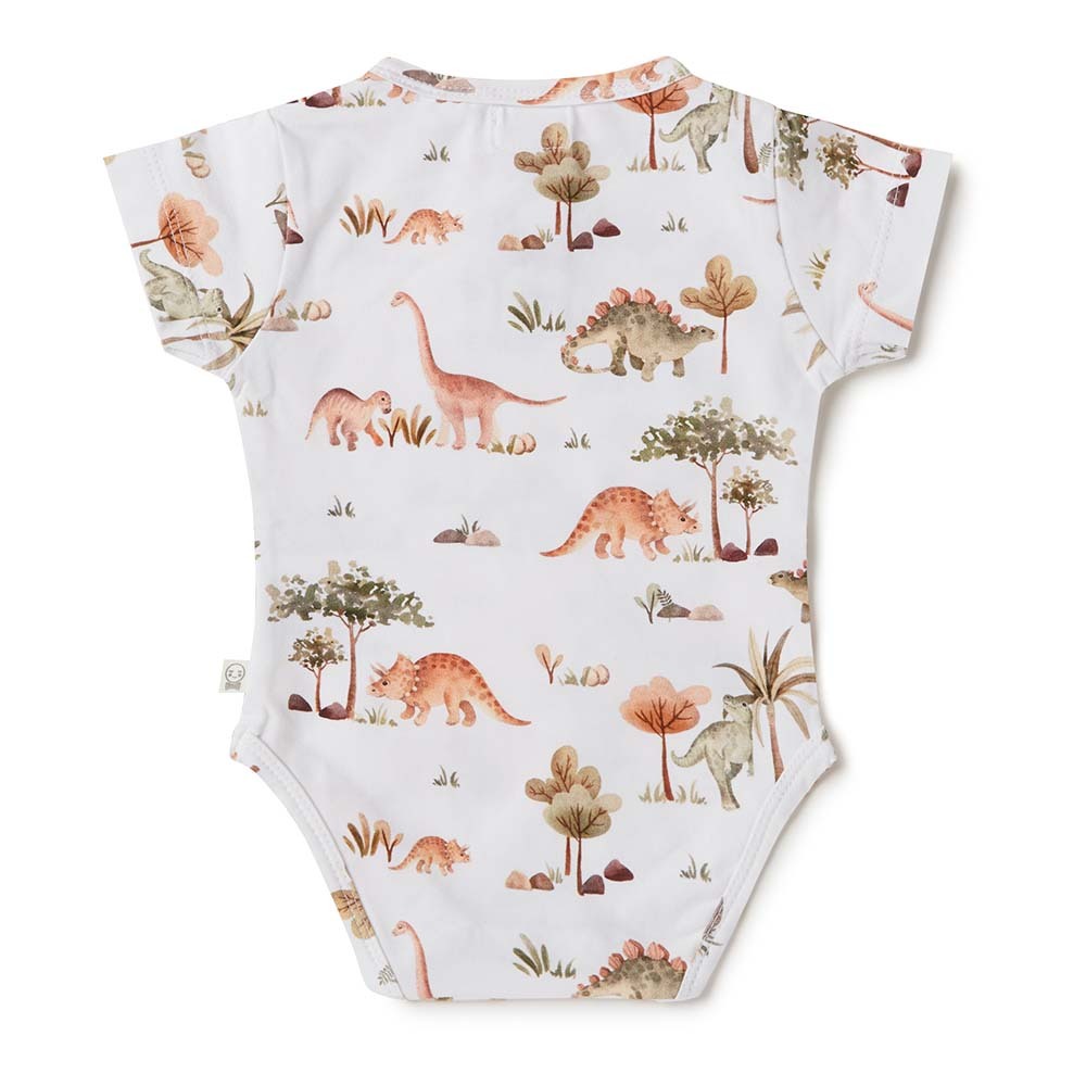 Baby girl hot sale dinosaur onesie