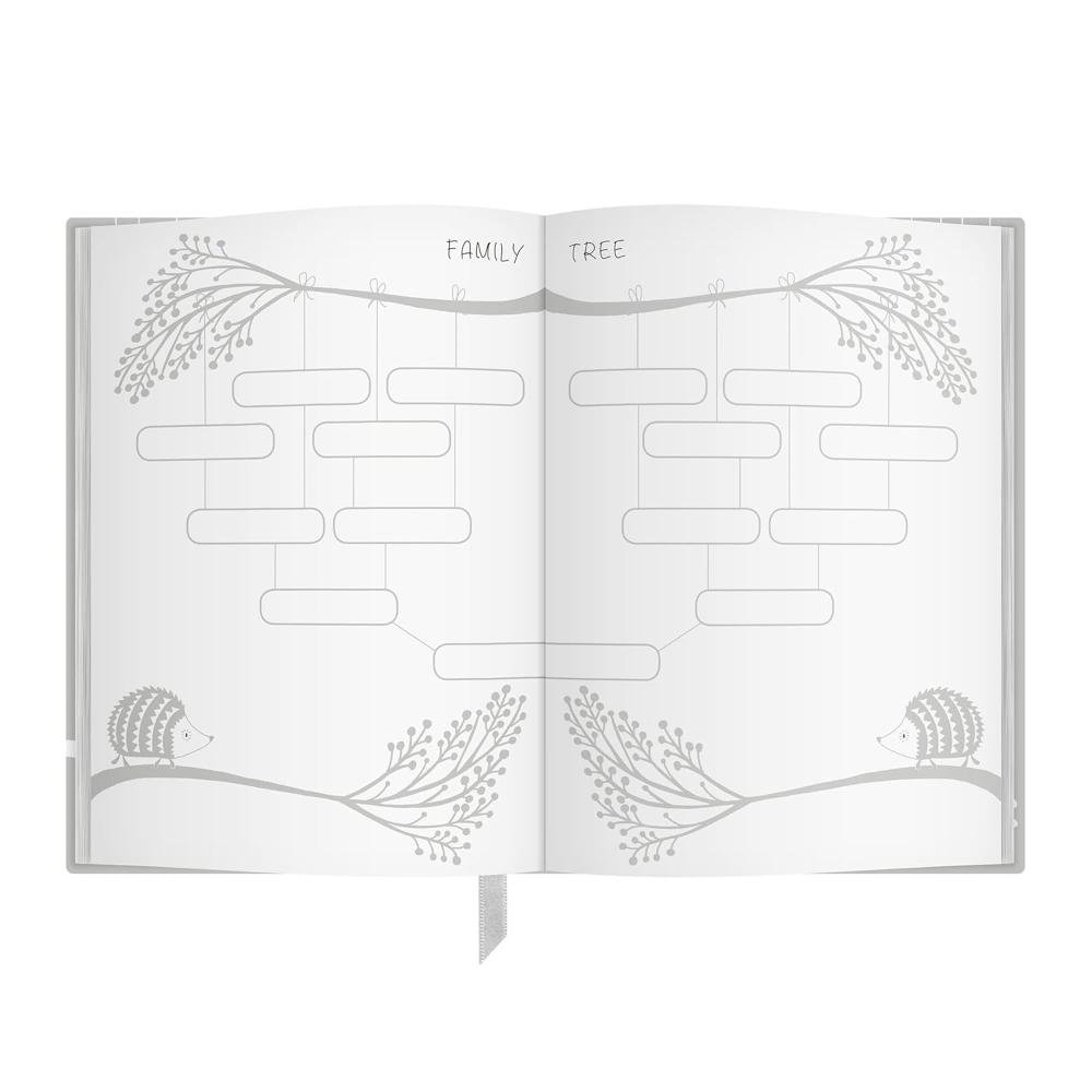 Early Years: Grey: Baby to 5 year record journal