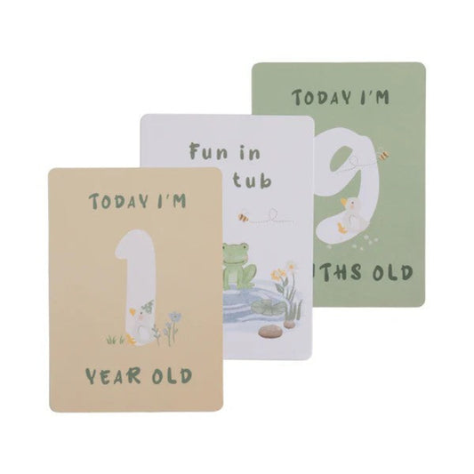Living Textiles Milestone Cards - Goosey Goosey
