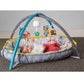 Taf Toys Koala Musical Newborn CosyGym