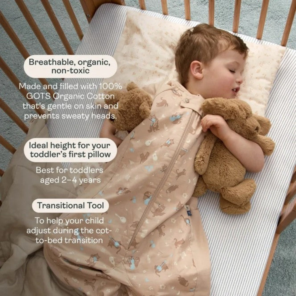 ErgoPouch Pillow with Case - Lullaby
