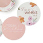 Snuggle Hunny Reversible Milestone Cards - Poppy and Musk Pink