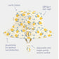 Toshi Sunhat Arcadia - Lemonade Cream